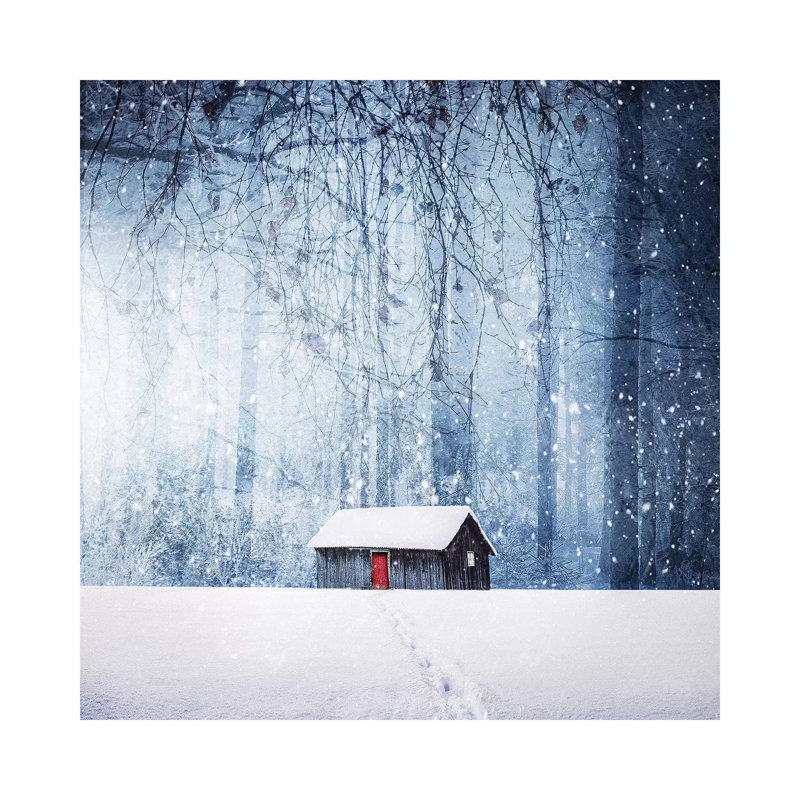 Winter II by Bess Hamiti - Wrapped Canvas Print, 30.48cm H x 30.48cm W x 1.91cm D