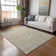 Machine Washable Indoor/Outdoor Brenden ACN2231 Global Rug
