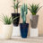 Sainsbury Pot Planter-911249981