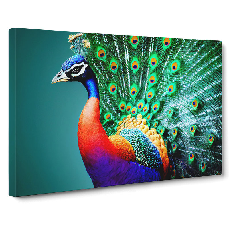 Blossoming Peacock - Wrapped Canvas Painting, 50cm H x 76cm W x 3cm D