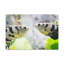 No Frame Print on Canvas