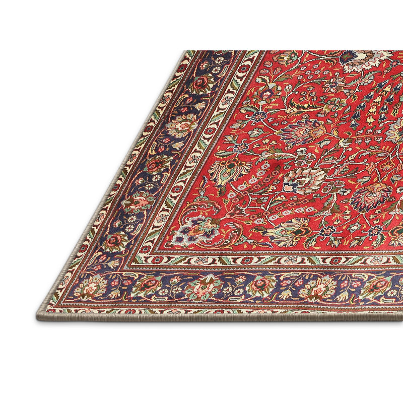 Akaash Oriental Indoor Rug, Rectangle 6' x 9'
