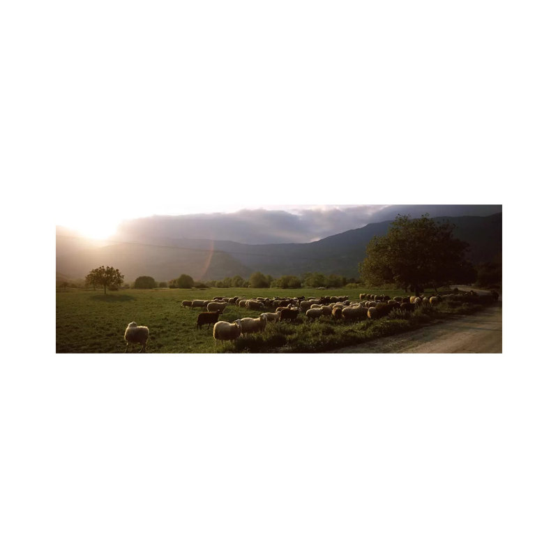 Flock Of Sheep Grazing In A Field - Wrapped Canvas Panoramic Print, 30.48 cm H x 91.44 cm W x 1.91 cm D