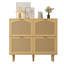Shoe Storage Cabinet