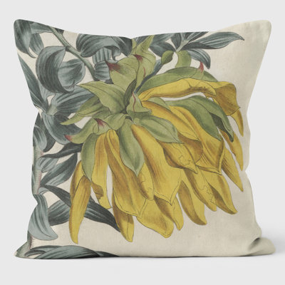 Mountain Dahlia - Botanical Cushion