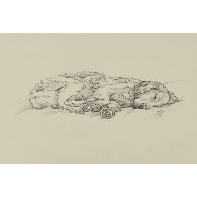 Croquis doré III