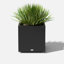 Block Series Cube Planter-86163303-86163299