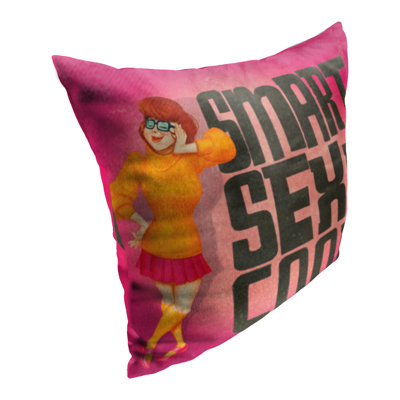 Indoor/Outdoor Pillow Cover