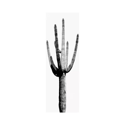 Black & White Saguaro Cactus I 1 Piece Wrapped Canvas Panoramic Painting