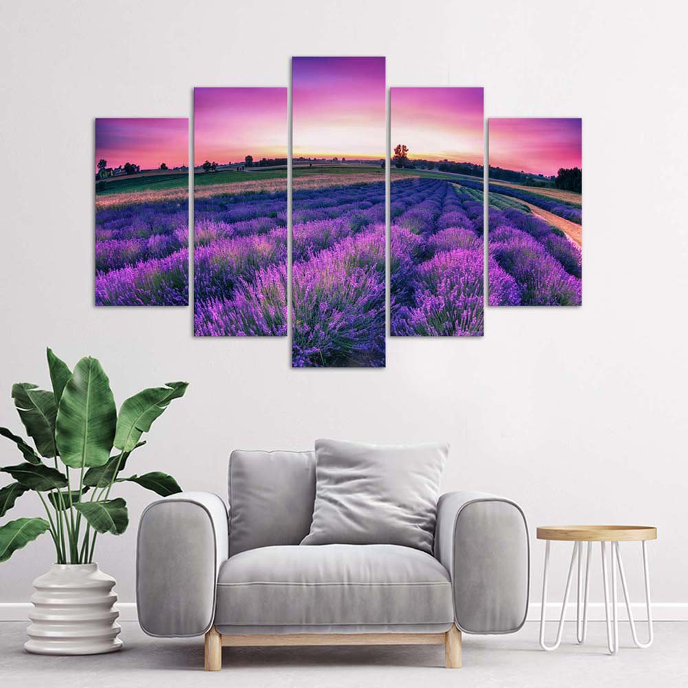 Leinwandbild Lavender Purple Field