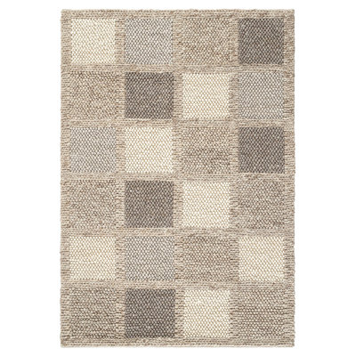 Raulerson Geometric Hand Woven Indoor / Outdoor Area Rug