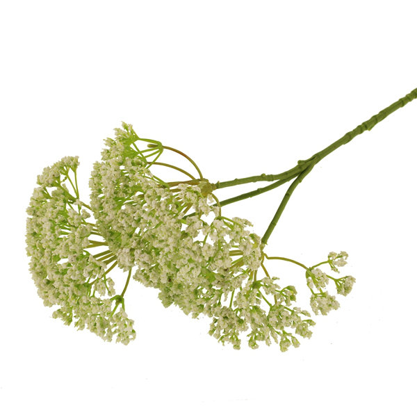 Arrangement, Green