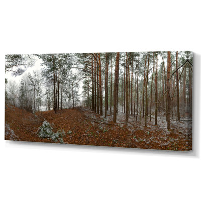 «First Snow in Autumn Forest Scenery III» - photographie sur toile