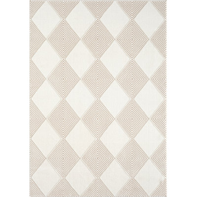 Vedhanth Checkered Rug