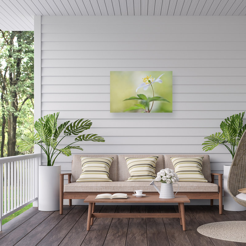 «Spring Light On Canvas» par Heidi Westum, reproduction, H 22 po x l 32 po