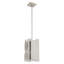 Luminaire suspendu rectangulaire à 1 lumière Varick-2031060025