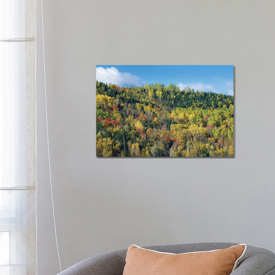 Herbstfarben, Chic-Chocs, Quebec, Kanada von Tim Fitzharris - Giclée auf Leinwand ohne Rahmen