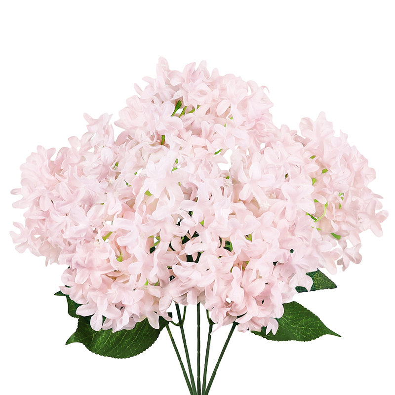 Étoile, hortensia et fleurs, Rose clair