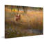 Reproduction d’art sur toile tendue "fleured pré fauve" par chris exercice-16642205