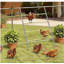 Chost Roost for Coop, Jungle Gym Roosting Bar, 55 po x 33,75 po