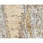 Hand Knotted Area Rug in Beige/Gold-237441556