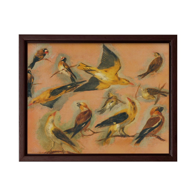 Chardonneret européen, H 24 po x l 32 po, Canvas, Encadrement brun