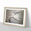 Falcon Birds by Matsumura Goshun - Picture Frame Painting Print-55535807-55535806