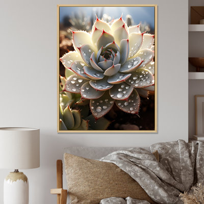 Cactus pêche - piqures de cactus