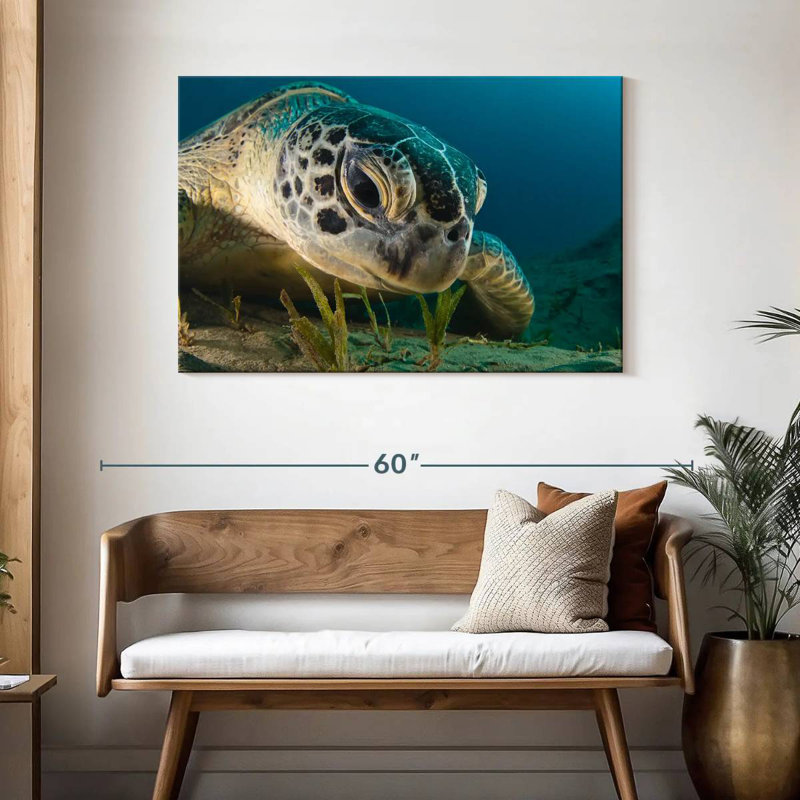 Brampt Sea Turtle Close Up, 30" H x 45" W