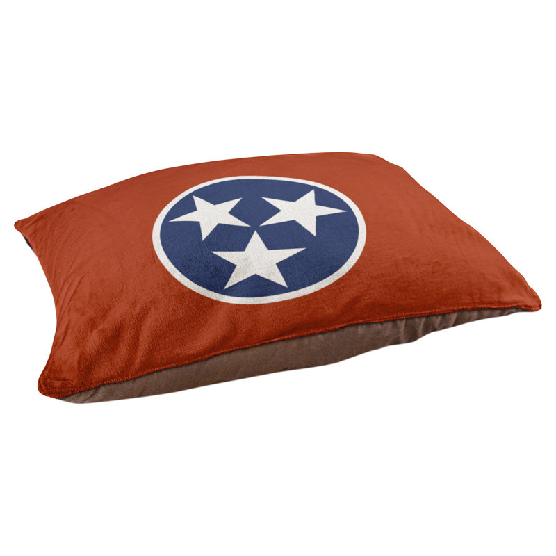 Coussin stylisé tennessee flag Burien, L 19,5 po x l 29,5 po, Marron foncé