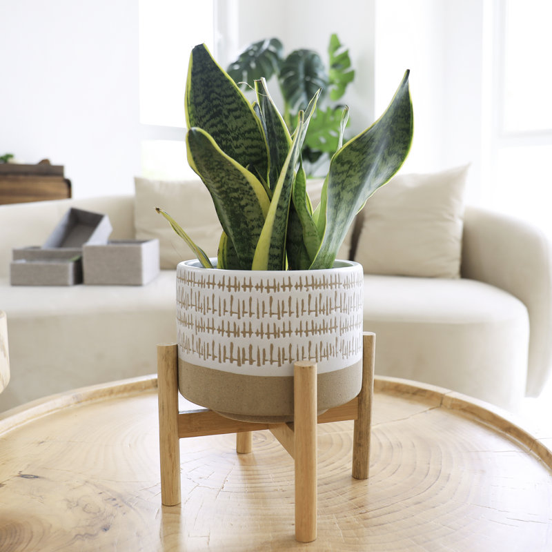 Tierney Pot Planter, Brown, 9.3" H x 7.3" W x 7.3" D