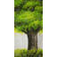 Big green tree - 24"x48" Framed canvas