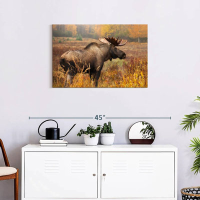 Crowle Mighty Alaskan Moose