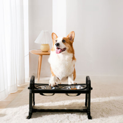 Elevated Feeder