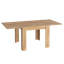 Golden Dining Table-100036920