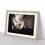 The Gaze of the Rhino in Abstract - Picture Frame Graphic Art Print-55737363-55737371