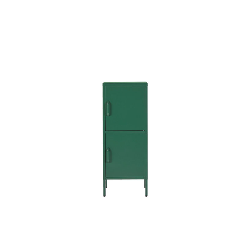 Mooresburg 2 -Door 4 -Shelf, Green