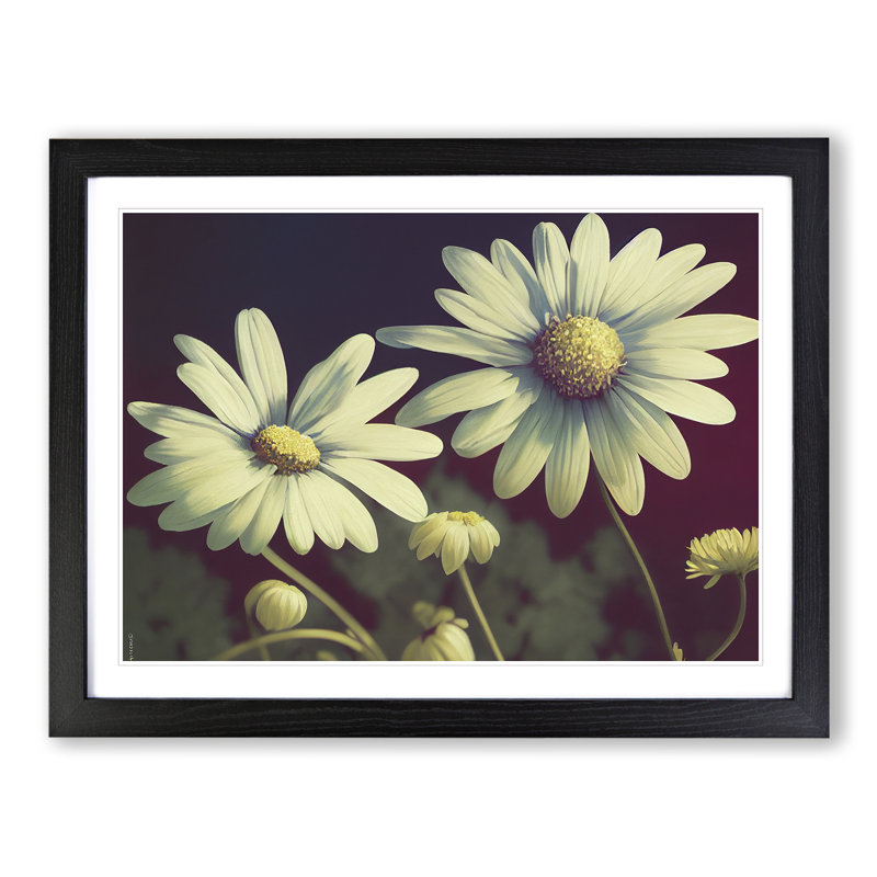 Fanciful Daisy Flowers - Single Picture Frame Print, 46cm H x 64cm W x 2cm D, Black Framed