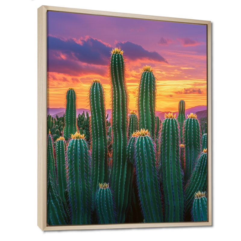 Marysia Cactus Garden at Sunset In Mexico II - Cactus, art mural, H 20 po x l 12 po, Impression encadrée sans passe-partout