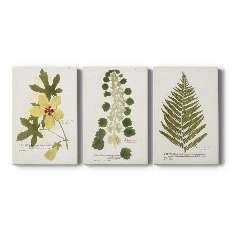 Nature imprimé Botanicals - toile tendue sur mesure - 3 pièces, H 12 po x l 24 po