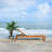 Faunce Outdoor Eucalyptus Wood Chaise Lounge , Cushion Included-1021351647-1012308497