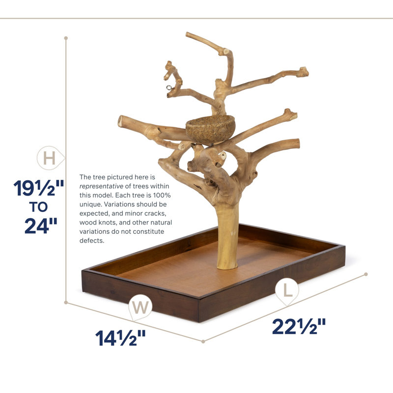 Freeport One-of-a-Kind 22.5'' Wood Bird Play Stand for Table Top