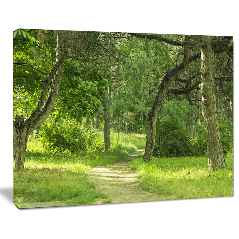 Green Forest Path Landscape Canvas Print, 32" x 16"