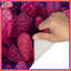 Tapis de bain cactus rose-1196404447