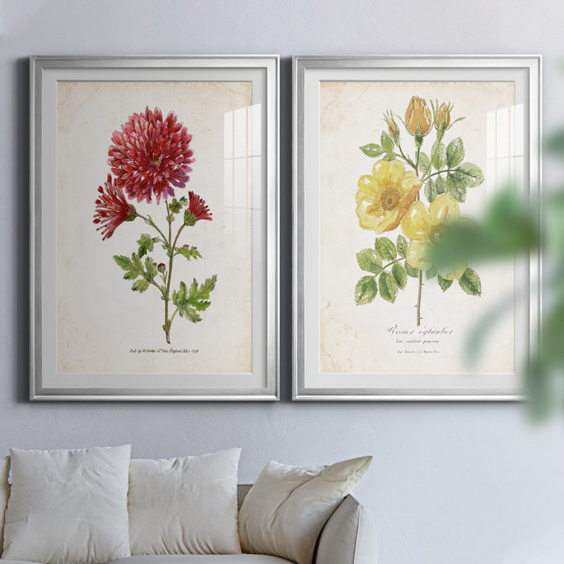 «Botanical III», ensemble de 2 reproductions d'impressions, H 26,5 po x l 73 po x P 1,5 po, Papier avec cadre argenté, Blanc