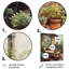 Cottage Terrasse Garden II - impression sans cadre sur métal-292954590