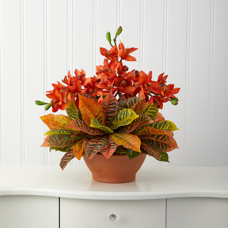 Arrangement floral cymbidium dans un vase