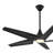 Switch 60" Led Smart Dual Mount Ceiling Fan-116794781-116794780