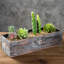 Planter Box