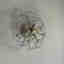 Photos des clients 1 de 1